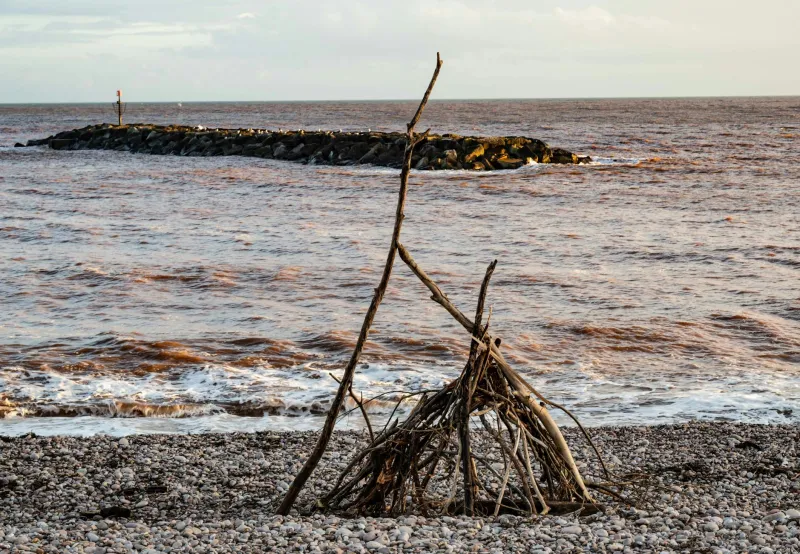 Before Brighton Wakes: The Dawn Collectors Turning Ocean's Refuse Into Coastal Gold