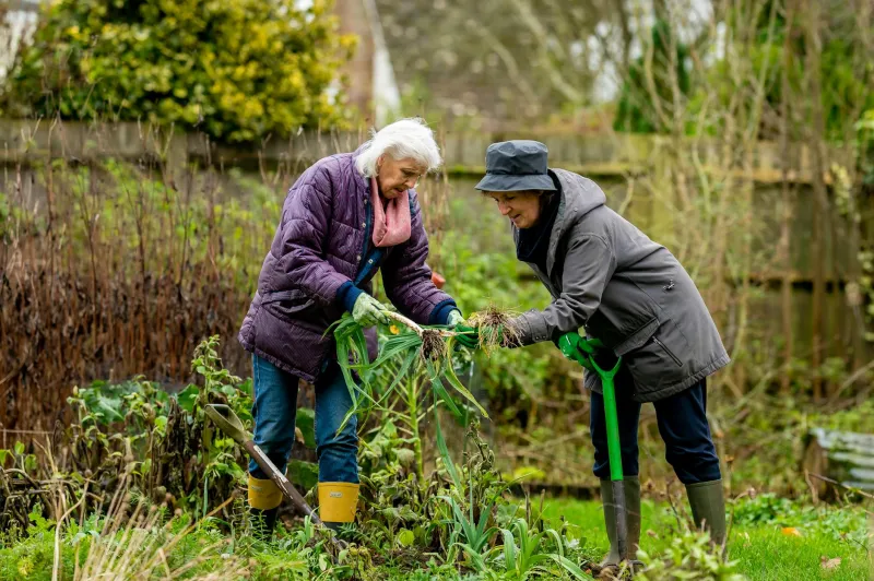 Growing Together: How Brighton's Allotment Revolution Is Cultivating Community From Scratch